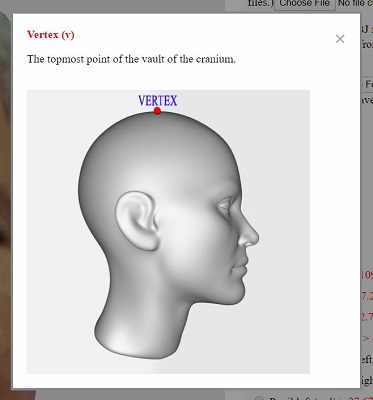 Vertex Details